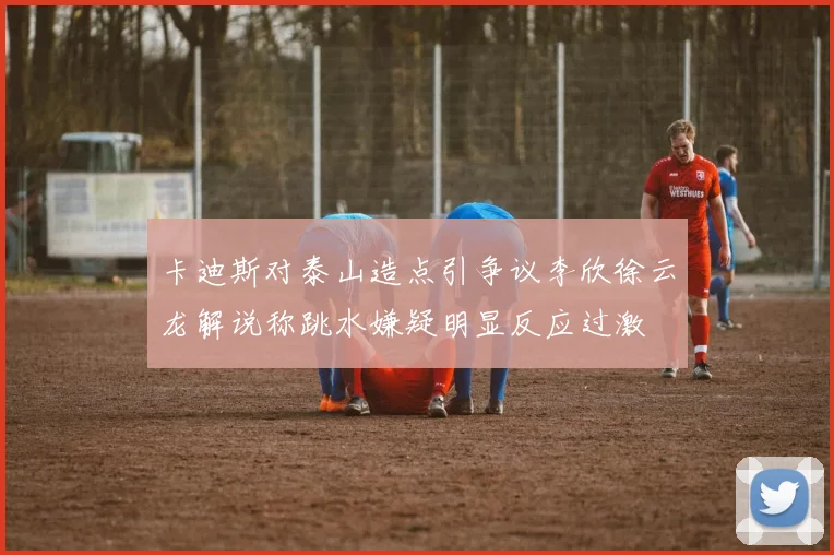 卡迪斯对泰山造点引争议李欣徐云龙解说称跳水嫌疑明显反应过激