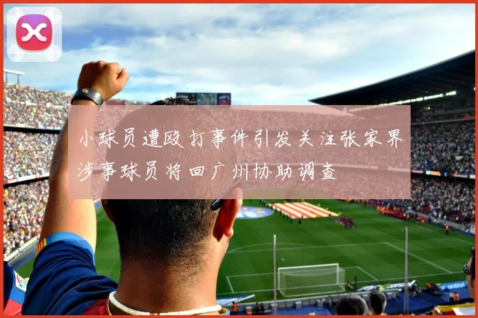 小球员遭殴打事件引发关注张家界涉事球员将回广州协助调查